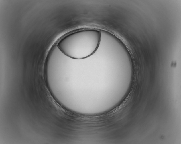 X0000096941272200802221312