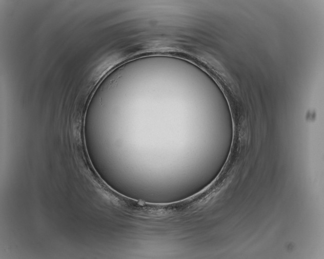 X0000096941273200802221312