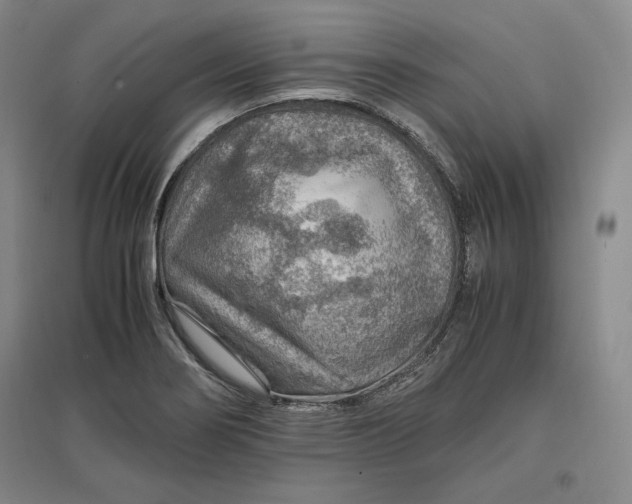 X0000096941274200802221312