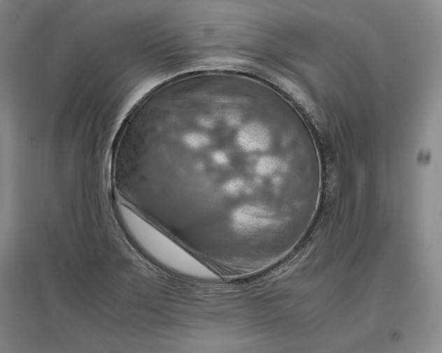 X0000096941275200802221312