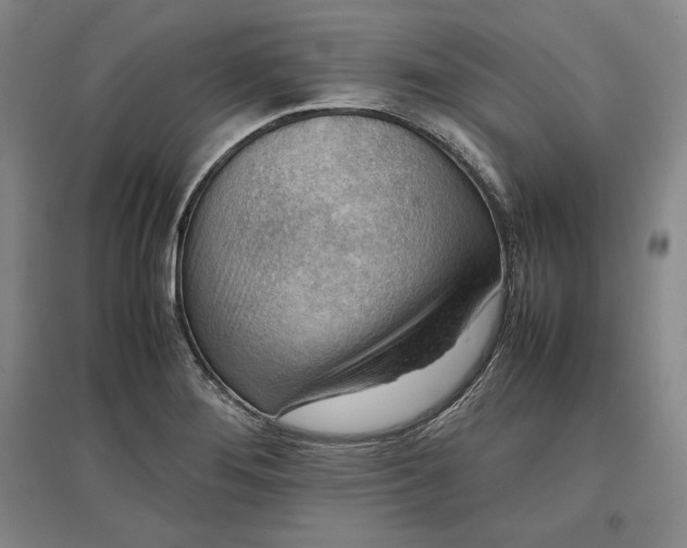 X0000096941276200802221312