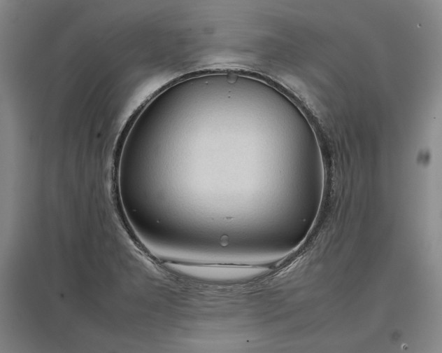 X0000096941277200802221312