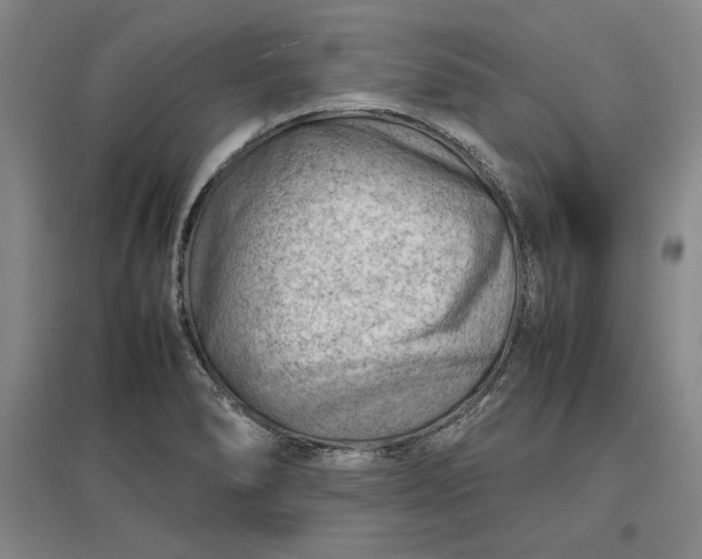 X0000096941278200802221312