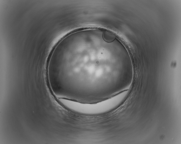 X0000096941279200802221312