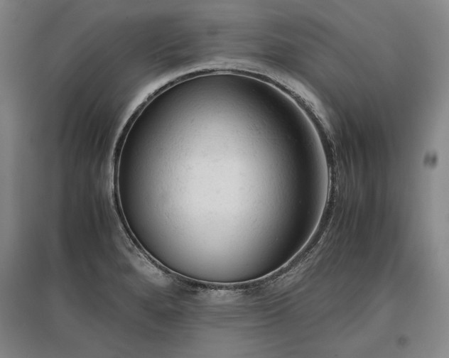 X0000096941280200802221312