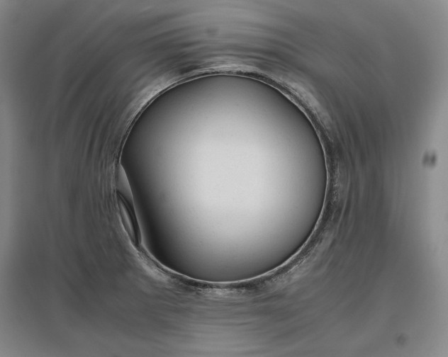 X0000096941281200802221312