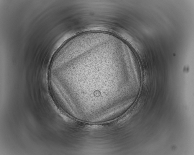 X0000096941282200802221312