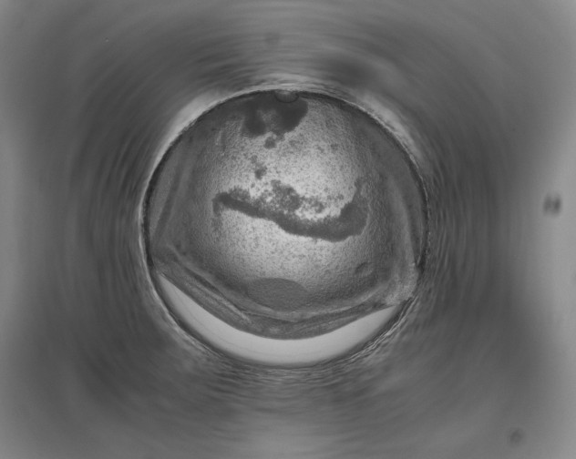 X0000096941283200802221312