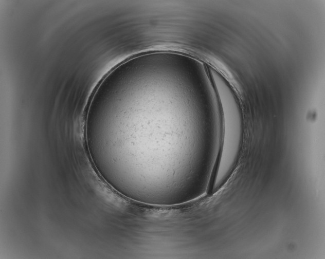 X0000096941284200802221312