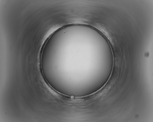 X0000096941285200802221312