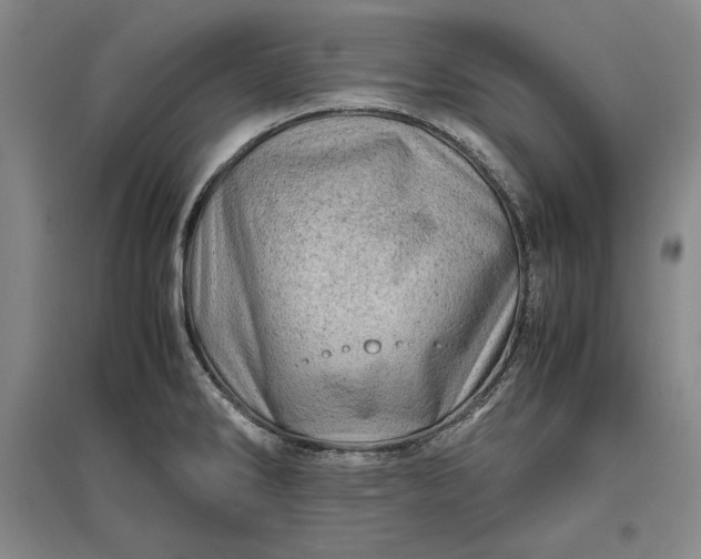 X0000096941286200802221312