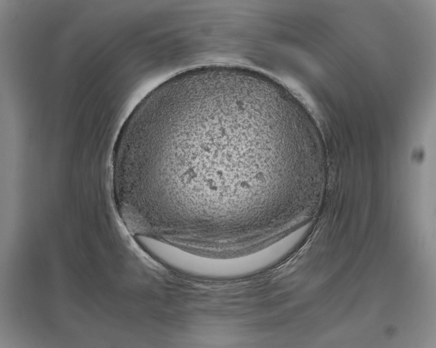 X0000096941287200802221312