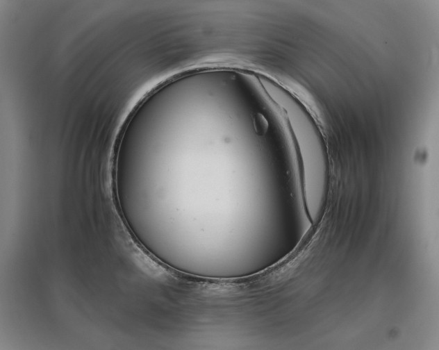 X0000096941288200802221311