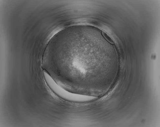 X0000096941289200802221311