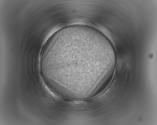 X0000096941290200802221311