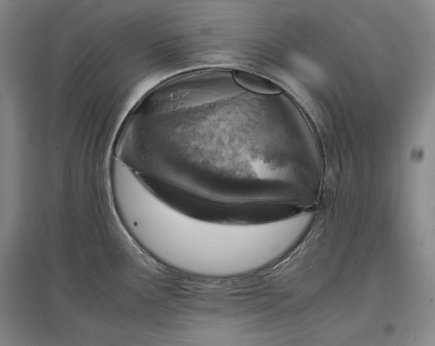 X0000096941291200802221311