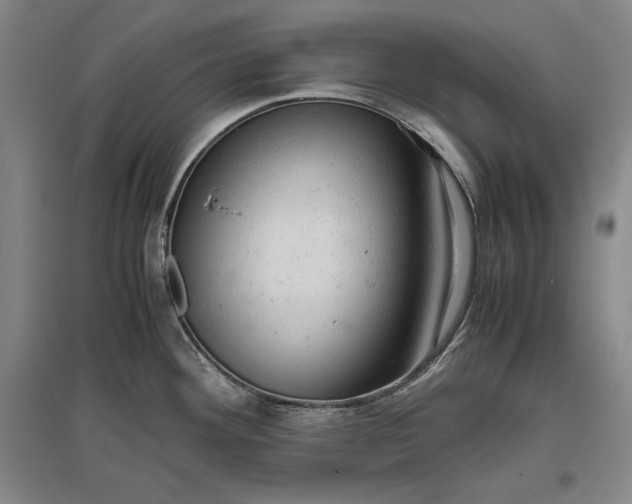 X0000096941292200802221311