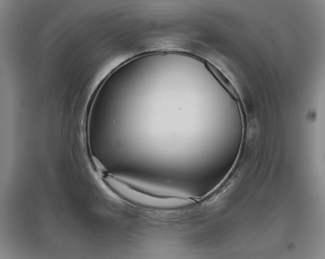 X0000096941293200802221311