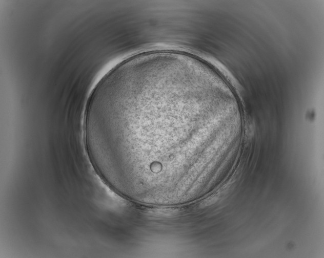 X0000096941294200802221311