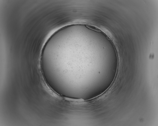 X0000096941296200802221311