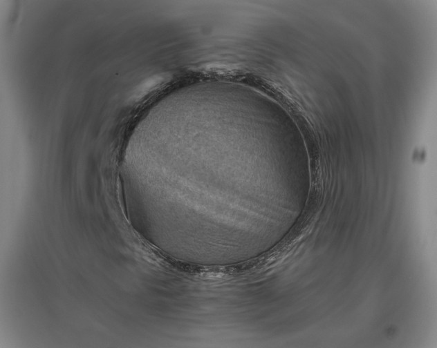 X0000096941297200802221311