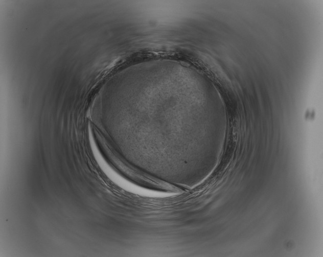 X0000096941298200802221311