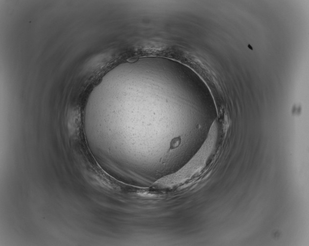 X0000096941299200802221311