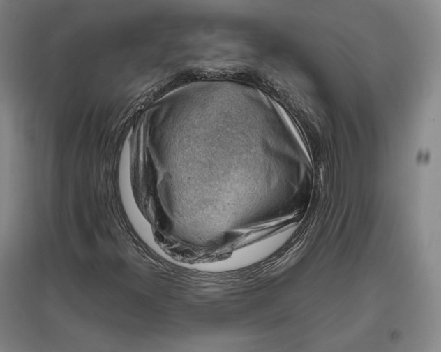 X0000096941300200802221311