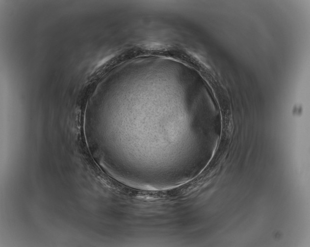 X0000096941301200802221311