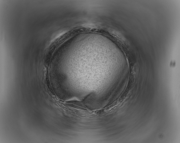 X0000096941302200802221311