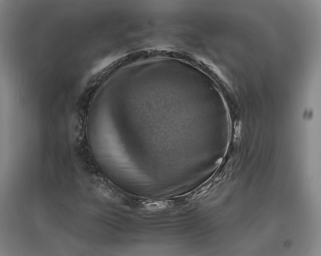 X0000096941303200802221311