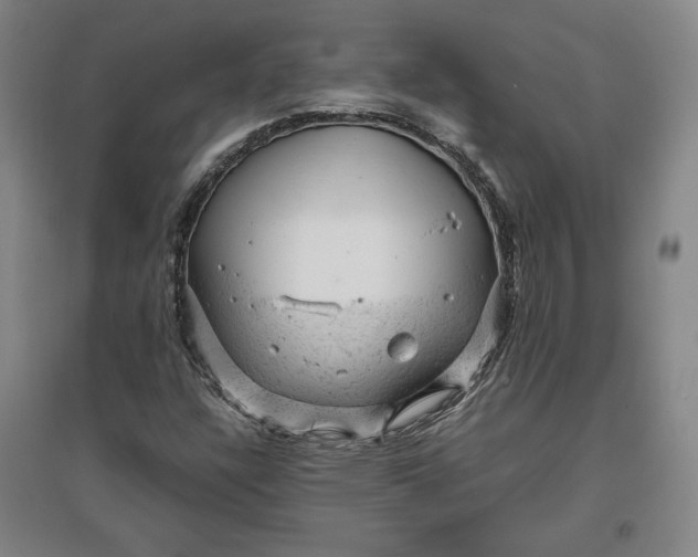 X0000096941304200802221311