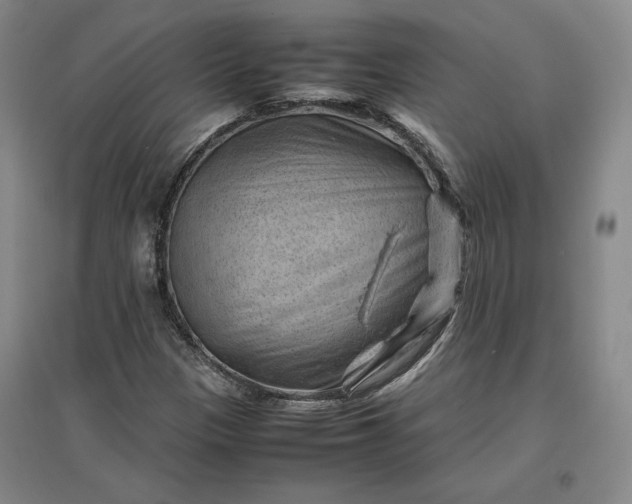 X0000096941305200802221311