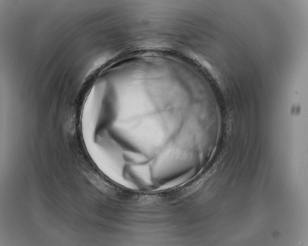 X0000096941306200802221311