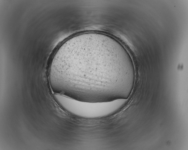 X0000096941308200802221311