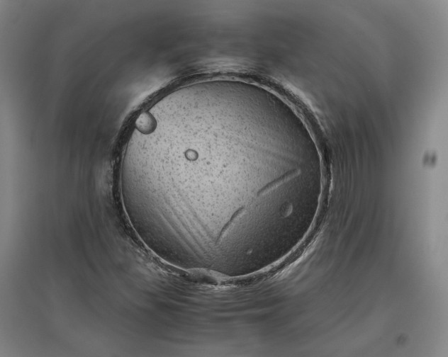 X0000096941309200802221311