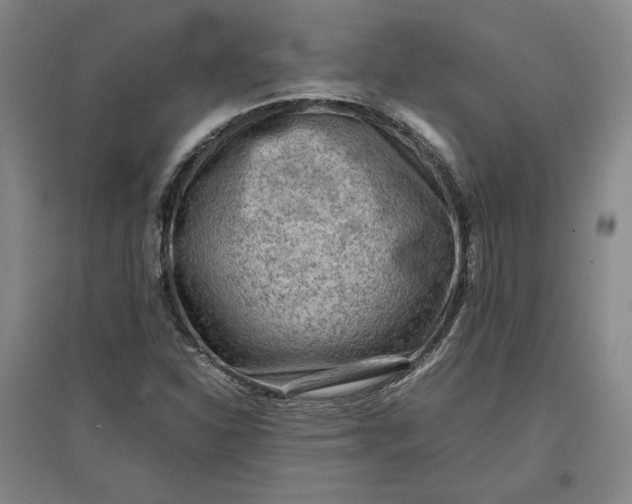 X0000096941310200802221311