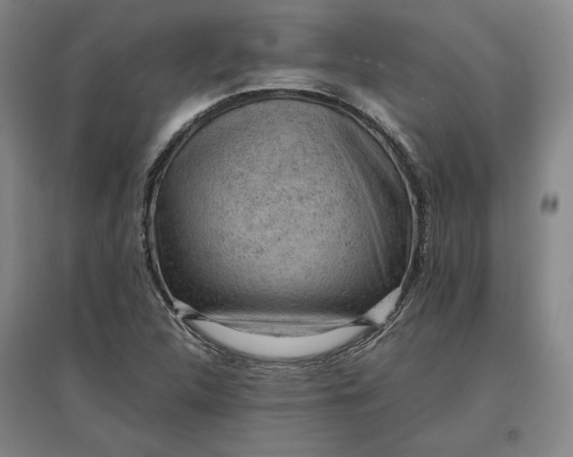 X0000096941312200802221311