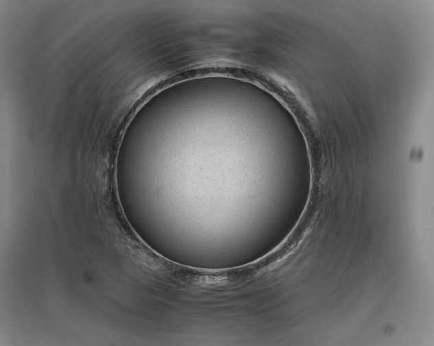 X0000096941313200802221311