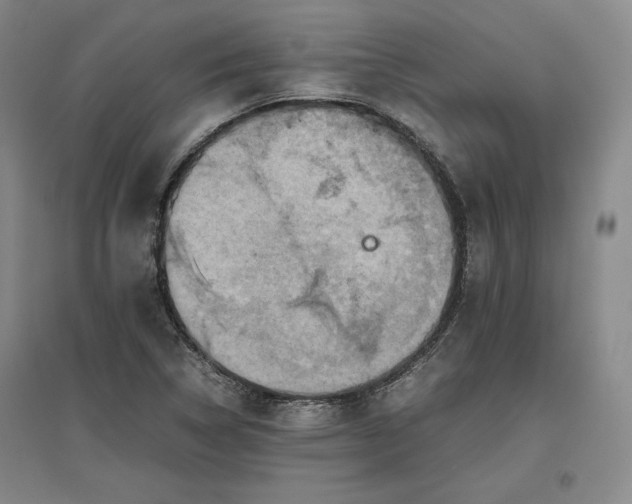 X0000096941314200802221311