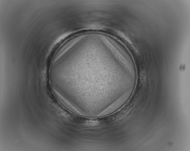 X0000096941315200802221311