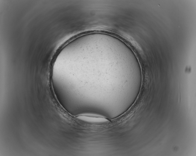 X0000096941316200802221311