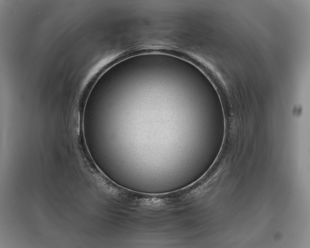 X0000096941317200802221311