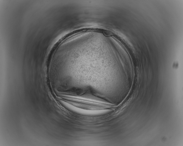 X0000096941318200802221311