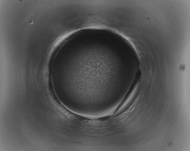 X0000096941319200802221311