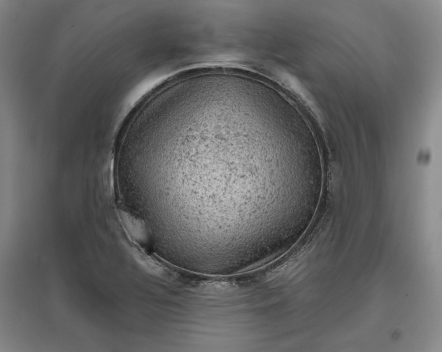 X0000096941320200802221311