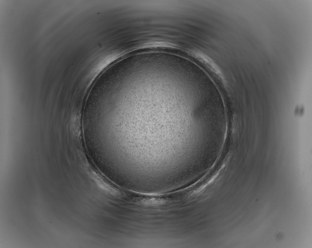 X0000096941321200802221311