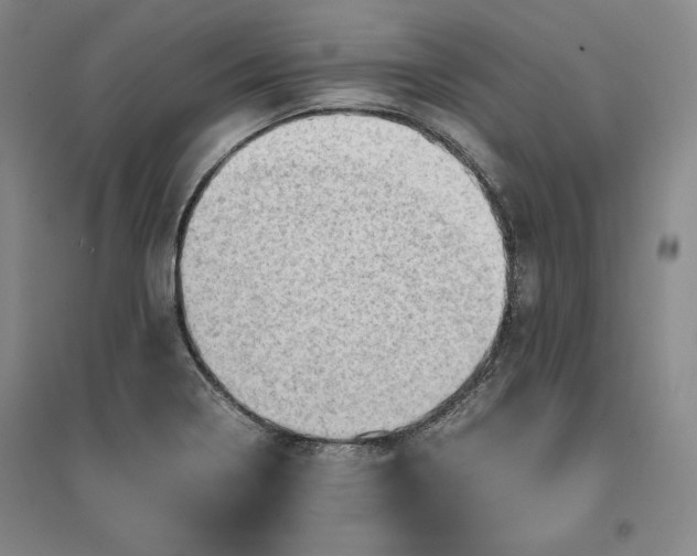 X0000096941322200802221311