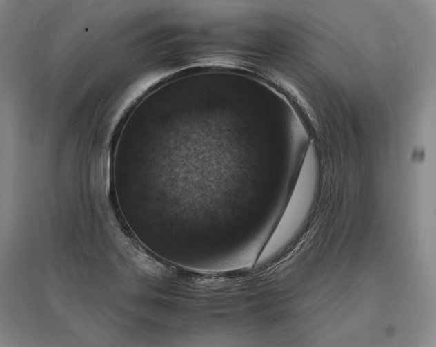 X0000096941323200802221311