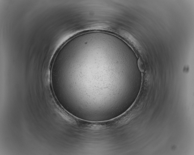 X0000096941324200802221311